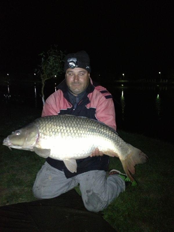 pestisori de aur - img-20130503-wa0003.jpg